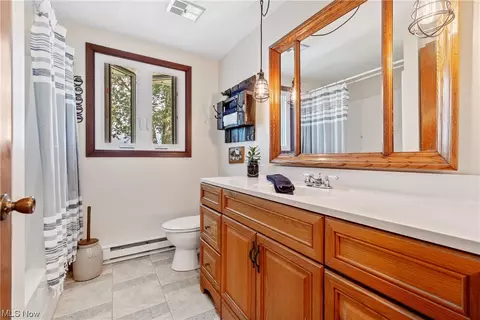 41800 Biggs Rd, Lagrange, OH 44050 photo 15
