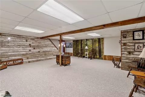 41800 Biggs Rd, Lagrange, OH 44050 photo 23