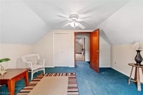 41800 Biggs Rd, Lagrange, OH 44050 photo 19