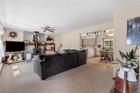 41800 Biggs Rd, Lagrange, OH 44050 photo 4