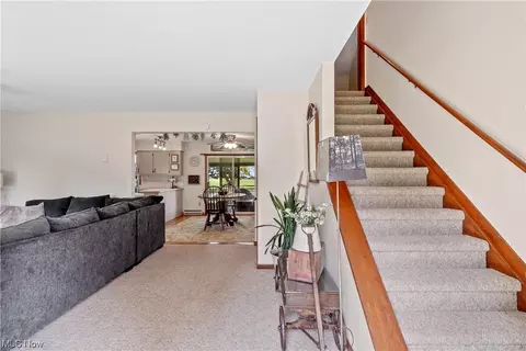 41800 Biggs Rd, Lagrange, OH 44050 photo 17