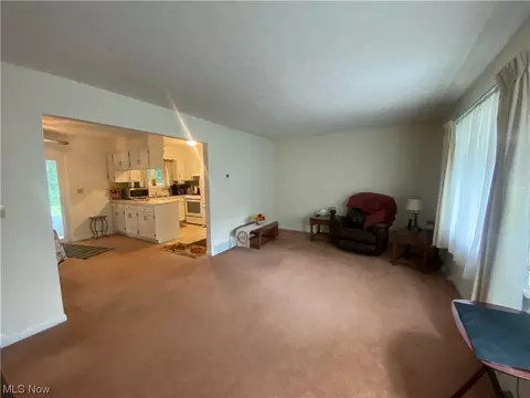 5115 Chestnut Hill Dr, Saybrook, OH 44004 photo 6
