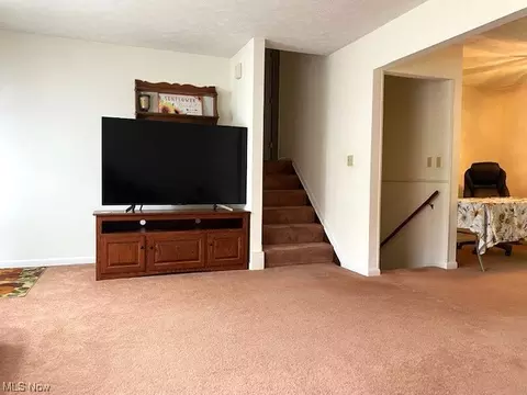 5115 Chestnut Hill Dr, Saybrook, OH 44004 photo 13