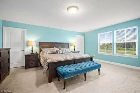 609 U S Grant St, Lagrange, OH 44050 photo 24