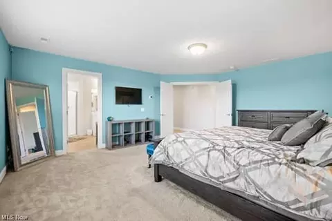 609 U S Grant St, Lagrange, OH 44050 photo 22