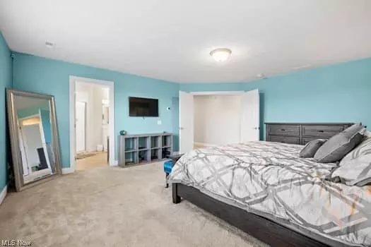  609 U S Grant St, Lagrange, OH 44050 photo 22