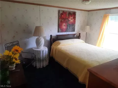 3973 Mill Rd, Dorset, OH 44032 photo 7