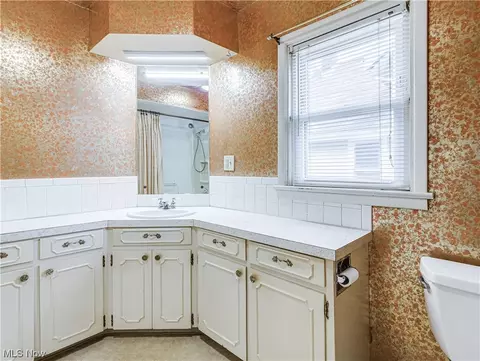103 E Mapledale Ave, Akron, OH 44301 photo 23
