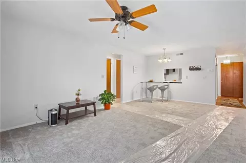 8945 W Ridge Rd #A, Elyria, OH 44035 photo 19