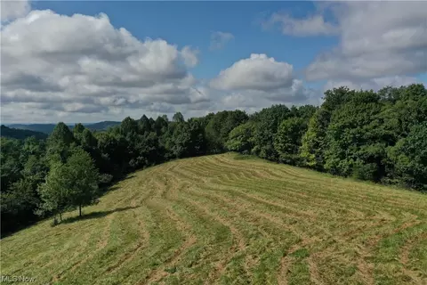0001 Salisbury Rd, Ivydale, WV 25113