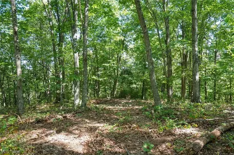 0 Gieke Rd, Oak Hill, OH 45656
