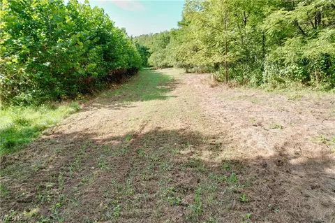 Fogle Road, Caldwell, OH 43724