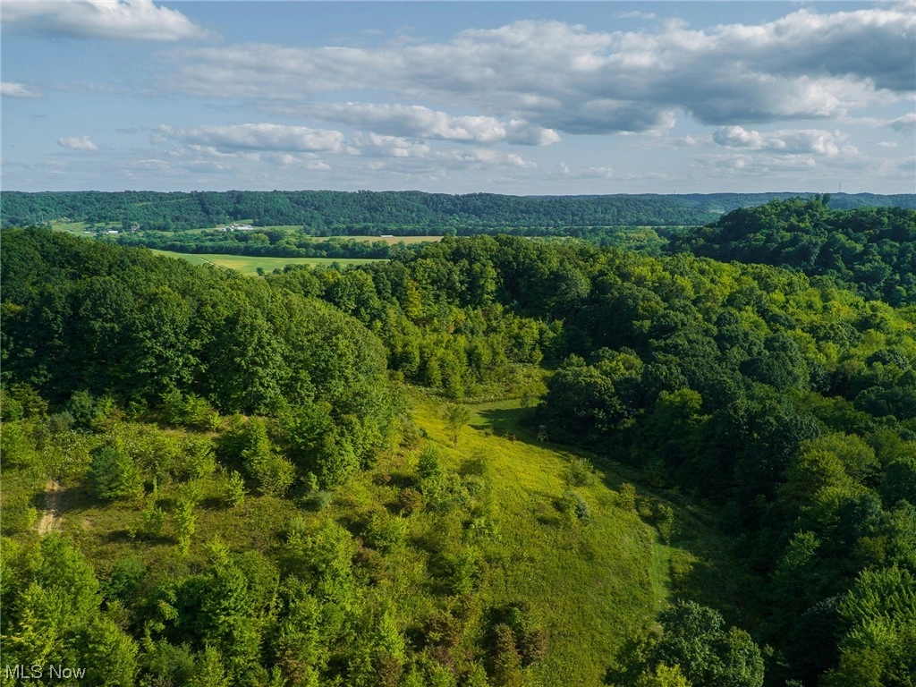 12044 SW State Rte 36  