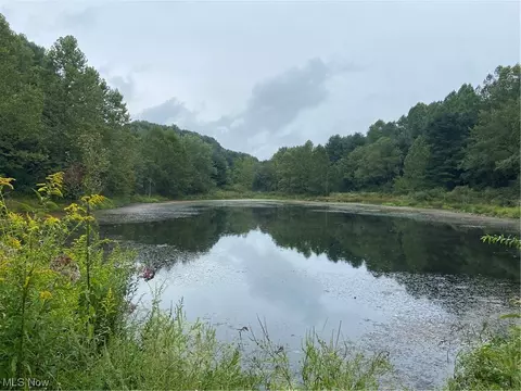 Wills Creek Road, Adamsville, OH 43802