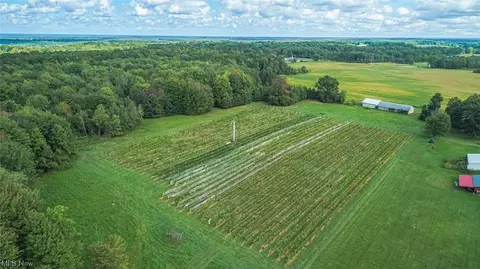 396 S Ridge Rd E, Conneaut, OH 44030 photo 5