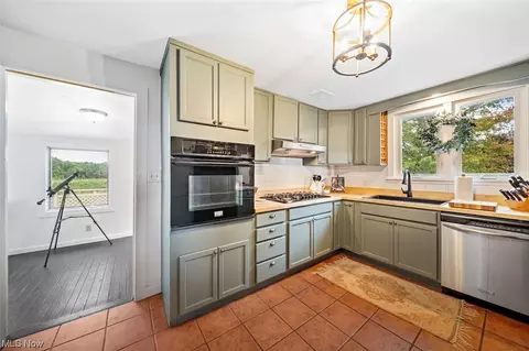 396 S Ridge Rd E, Conneaut, OH 44030 photo 16