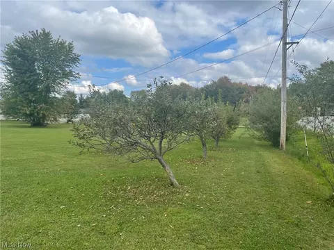 7297 Anderson Rd, Freedom, OH 44288 photo 15