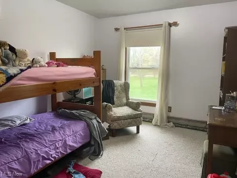 7297 Anderson Rd, Freedom, OH 44288 photo 3