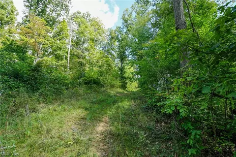 Morningstar Rd, Blue Rock, OH 43720