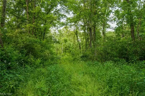 State Route 555, Blue Rock, OH 43720