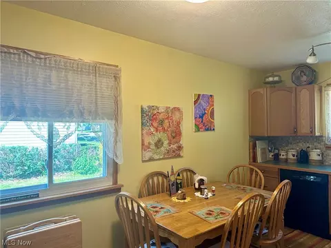 876 Jean Ave, Akron, OH 44310 photo 9