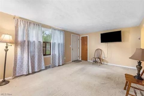 163 Jerrol Ct, Elyria, OH 44035 photo 4