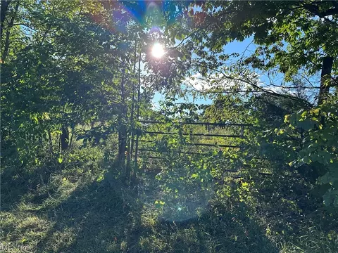 0 Dozer Ridge Rd, Blue Rock, OH 43720