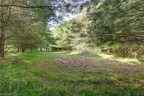 Perl Road, Chandlersville, OH 43727