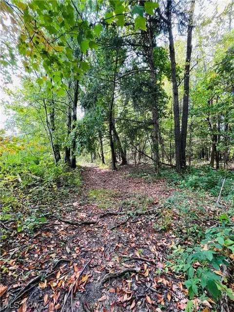 4253 Warner Rd, Ashtabula, OH 44004 photo 6