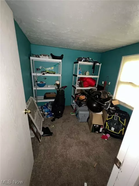 74 Anglers Ln, Lagrange, OH 44050 photo 23