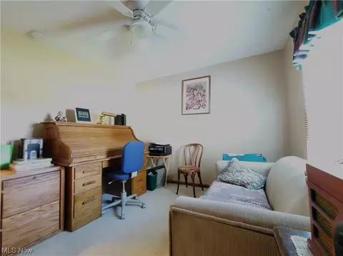 155 Pine St, Creston, OH 44217 photo 21