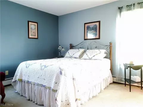 155 Pine St, Creston, OH 44217 photo 12