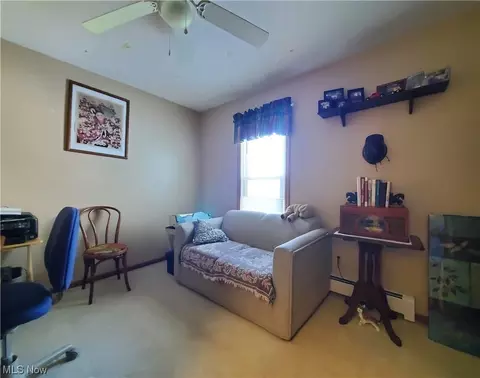 155 Pine St, Creston, OH 44217 photo 20
