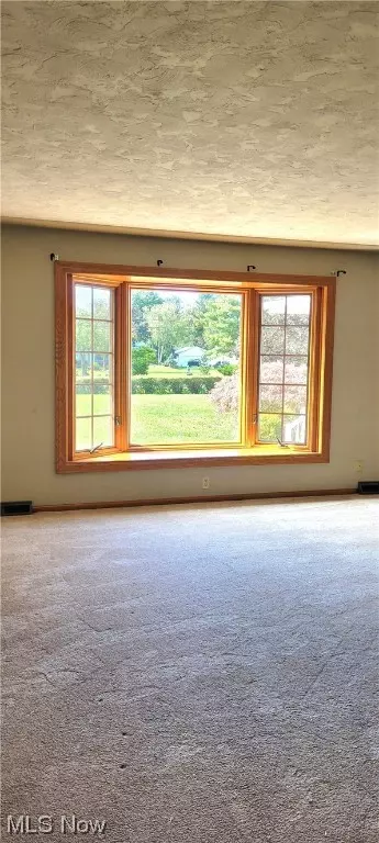 6015 Ford Rd, Elyria, OH 44035 photo 5