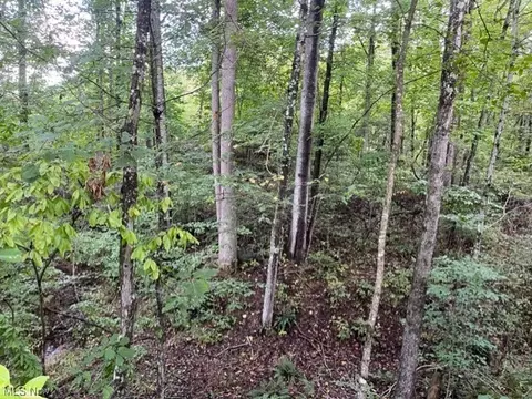 0 Slab Hill Rd, Oak Hill, OH 45656
