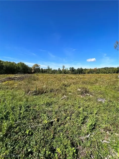 Victoria Road, Youngstown, OH 44515