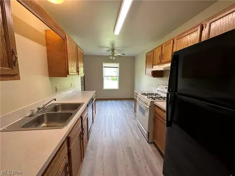 9911 Short Dr, Windham, OH 44288 photo 10