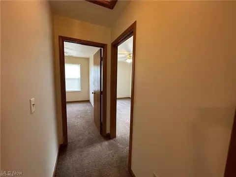 9911 Short Dr, Windham, OH 44288 photo 13
