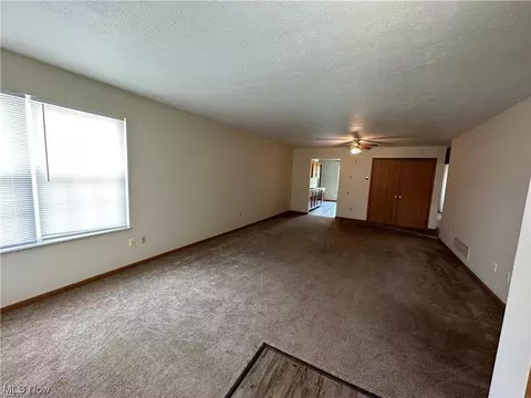 9911 Short Dr, Windham, OH 44288 photo 9