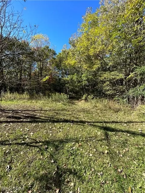 Hilbish Avenue, Akron, OH 44312