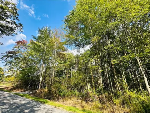 State Rd 154, Rogers, OH 44455