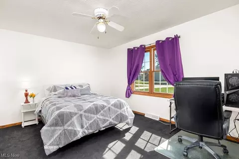329 Forest St, Lagrange, OH 44050 photo 17