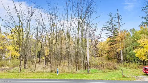 10299 Webster Rd, Strongsville, OH 44136