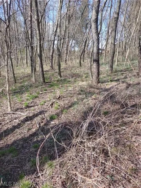 Co. Rd. 122, Barnesville, OH 43713 photo 9