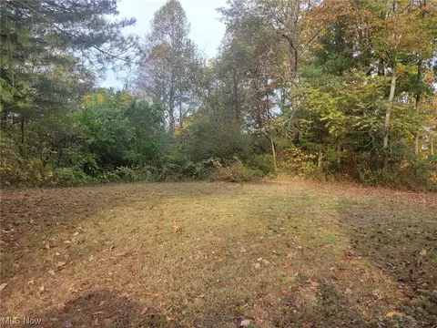 Dalton Hill Lane, Chesterhill, OH 43728