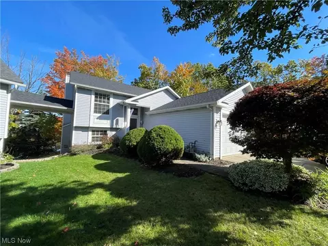 9781 Springhouse Ln E, Concord, OH 44060