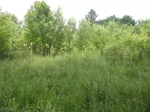 Brigden, North Bloomfield, OH 44450