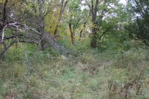 1019 Sill Rd, Ashtabula, OH 44004
