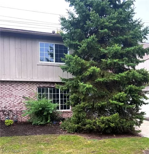 9629 Ryan Dr, Mentor, OH 44060