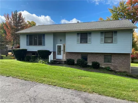 494 Playland Pkwy, Chippewa Lake, OH 44215